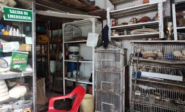 edificio en venta en latino. Cod V14329