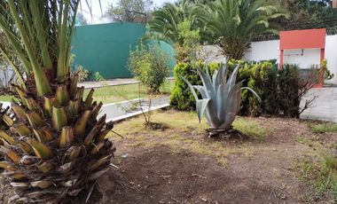 Amplio LOFT en Metepec Centro