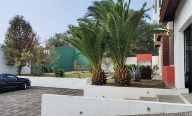 Amplio LOFT en Metepec Centro