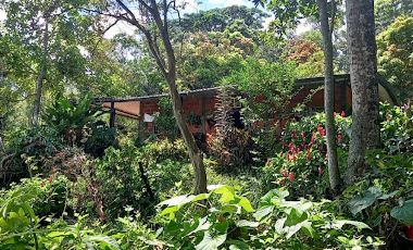 VENTA de FINCAS en PIEDECUESTA