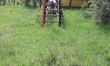 VENTA de FINCAS en PIEDECUESTA