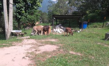 VENTA de FINCAS en PIEDECUESTA