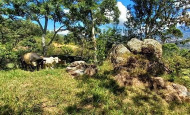 VENTA de FINCAS en PIEDECUESTA