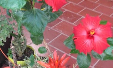 VENTA de FINCAS en PIEDECUESTA