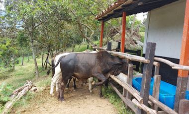 VENTA de FINCAS en PIEDECUESTA