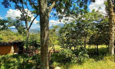 VENTA de FINCAS en PIEDECUESTA