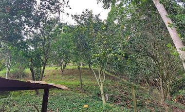 VENTA de FINCAS en PIEDECUESTA