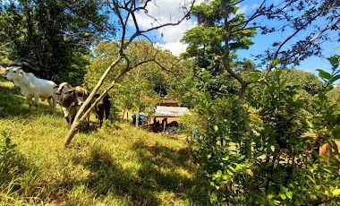 VENTA de FINCAS en PIEDECUESTA