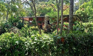 VENTA de FINCAS en PIEDECUESTA