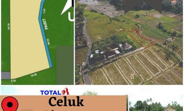 Tanah luas 400 are dengan View Cantik di Ubud