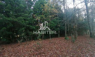 Parcela en Venta en Camino Antuco