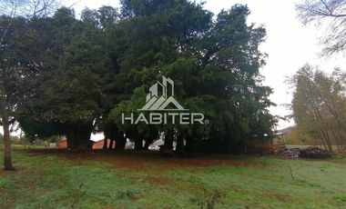 Parcela en Venta en Camino Antuco