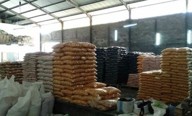 PABRIK KERUPUK AKTIF @ PARAKANMUNCANG DEKAT TANJUNGSARI