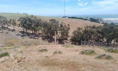 Parcela en venta en Pichilemu