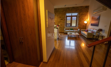 VENTA - ALQUILER APARTAMENTO TIPO LOFT EN CASCO ANTIGUO (2)