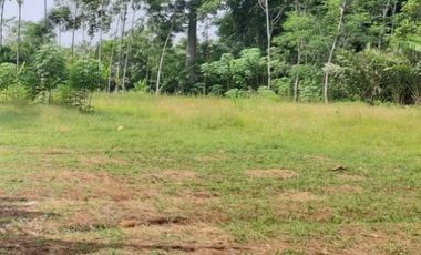 Cheap Land for Sale 7 Ha in Batujajar West Bandung City