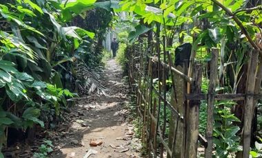 Cheap Land for Sale 7 Ha in Batujajar West Bandung City