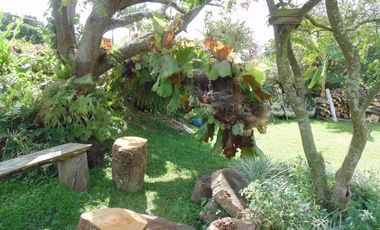 Fincas para Alquilar en Copacabana Cod: 6252