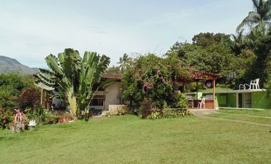 Fincas para Alquilar en Copacabana Cod: 6252