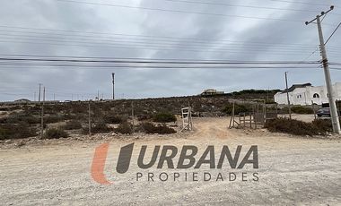 SITIO EN VENTA LA HERRADURA (8 SUPERIOR)
