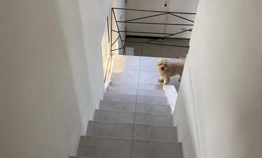 Casa - Venado