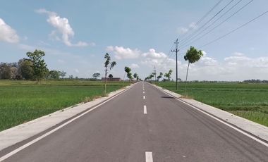 Kavling Dijual Murah Kawasan Pemukiman Bisa Dicicil Tanpa Bunga Area Purworejo Kota