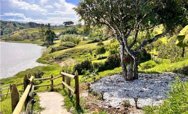 Live the Dream: House with incredible views in Guatape