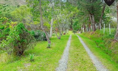 Casa de venta en Paute - Guachapala – código:20857