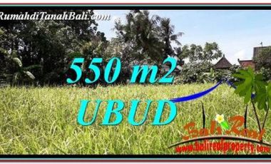 Tanah Murah di Ubud Bali 6 are View Kebun