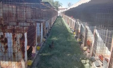 Rancho/Hacienda en venta en Zapote Del Valle