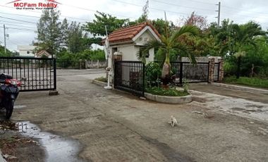 120 sqm Lot for Sale in Greenwoods Executive Village Taytay Rizal