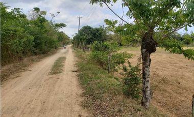 VENTA DE 2 HECTREAS Y MEDIA VIA BERASTEGUI