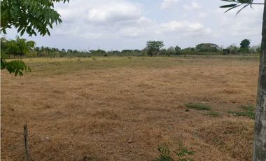 VENTA DE 2 HECTREAS Y MEDIA VIA BERASTEGUI