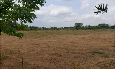 VENTA DE 2 HECTREAS Y MEDIA VIA BERASTEGUI