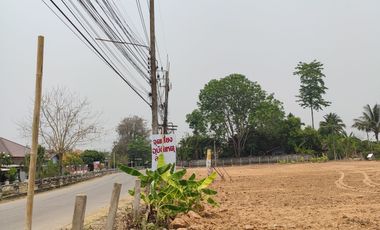 Land for sale in Nong Tong, Chiang Mai