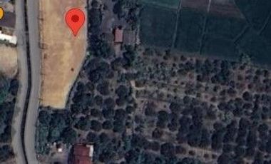 Land for sale in Nong Tong, Chiang Mai