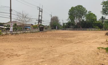 Land for sale in Nong Tong, Chiang Mai