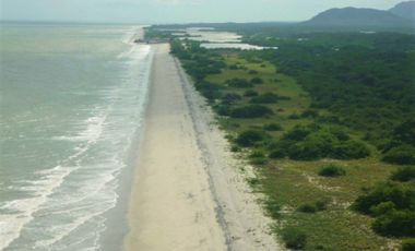 Venta de Terreno en Punta Chame (ID 13019) 