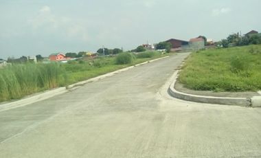 Bacoor Cavite, Meadowood Executive Village Lot for Sale