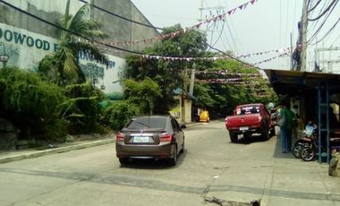 Bacoor Cavite, Meadowood Executive Village Lot for Sale