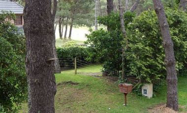 ESTUPENDO CHALET ESTILO CLASICO PINAMARENSE . CHALET EN VENTA.