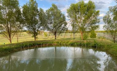 Quintas en Venta en Atongo de Abajo