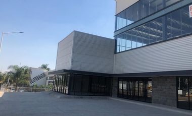 Edificio nuevo en renta