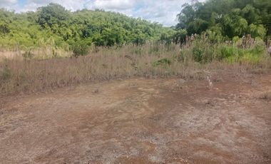 LOTE INDUSTRIAL EN VENTA VÍA ARMENIA/PEREIRA