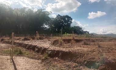 LOTE INDUSTRIAL EN VENTA VÍA ARMENIA/PEREIRA