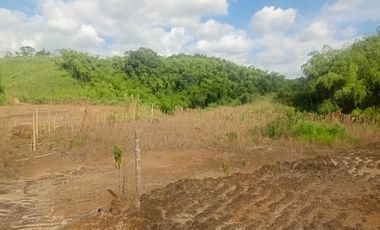 LOTE INDUSTRIAL EN VENTA VÍA ARMENIA/PEREIRA