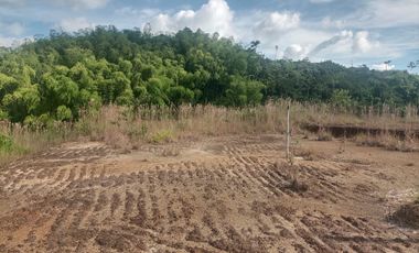 LOTE INDUSTRIAL EN VENTA VÍA ARMENIA/PEREIRA