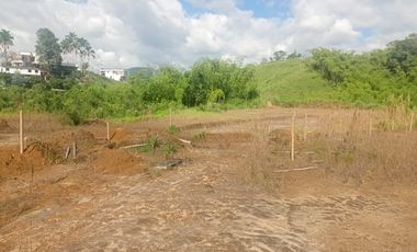 LOTE INDUSTRIAL EN VENTA VÍA ARMENIA/PEREIRA
