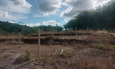 LOTE INDUSTRIAL EN VENTA VÍA ARMENIA/PEREIRA