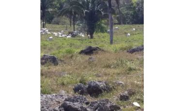VENTA FINCA COLÓN